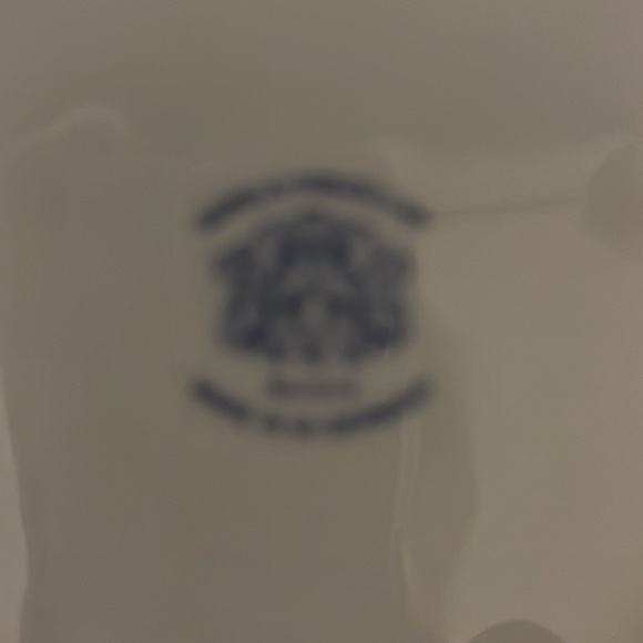 Schumann Arzburg Germany Wild Rose - Picture 5 of 8